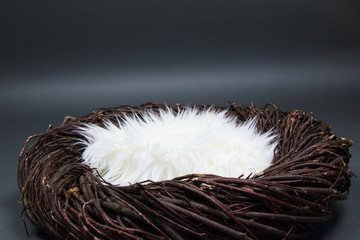 Bird Nest Fantasy Background Photo Prop Isolated on gray