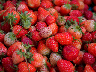 Many strawberries top view. Pattern, background.