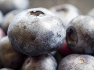 Nahaufnahme von Blaubeeren
