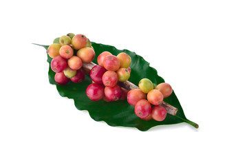 fresh coffee beans isolated on white background