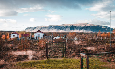 Fototapeta premium Iceland Mountains & Life