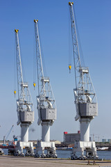 Fototapeta premium Port shipping cargo cranes