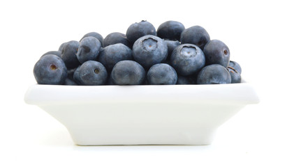 blue berry in white plate on white background