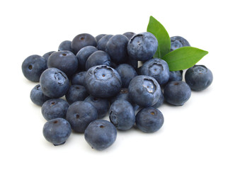 Blueberries on white background