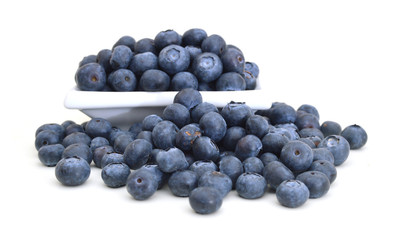 blue berry in white plate on white background