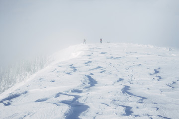 Fototapeta na wymiar Team of climbers on top of Gorgany mountains during blizzard