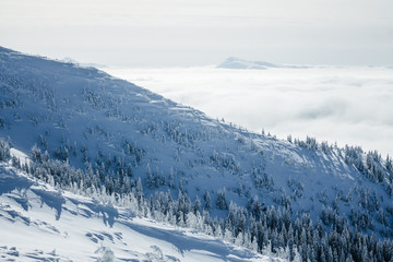 Fototapeta na wymiar Landscape of winter forest in Gorgany mountains