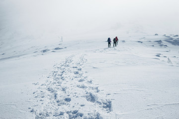 Fototapeta na wymiar Climbers struggling winter blizzard in Gorgany mountains