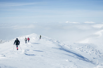 Fototapeta na wymiar Travelers walking in Gorgany mountains in deep snow