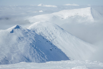 Fototapeta na wymiar High Gorgany mountains during winter blizzard