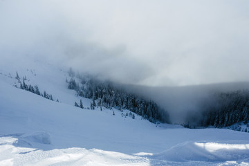 Fototapeta na wymiar Downhill of snow covered Gorgany mountains