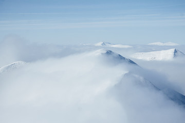 Snow blizzard in foggy Carpathians Gorgany mountains