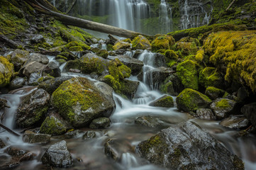 Low Angle of Mossy Rocks at Proxy Falls