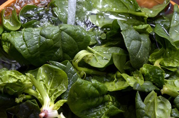 Washing spinach