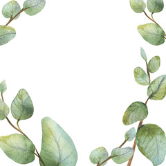 Watercolour green eucalyptus frame on white background.