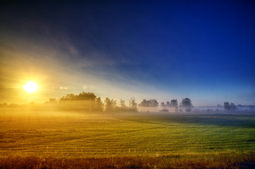 Sun rising over the bushes, setting off the morning fog and showing the blue sky