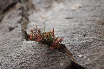 Life is everywhere