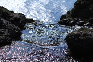 A small Creek and the ocean