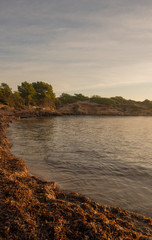 Fototapeta premium Sespanyol Beach in Ibiza at sunrise, Balearic Islands
