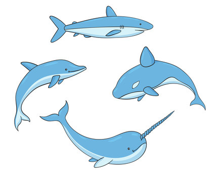 Set of vector underwater life with killer whale, shark, narwhal and dolphin. Sea creatures isolated on the white background.