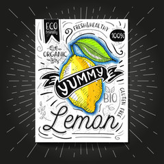 Colorful Label poster stickers food fruits vegetable chalk sketch style, food and spices.