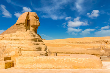 Egyptian sphinx. Cairo. Giza. Egypt. Travel background. Architectural monument. The tombs of the pharaohs. Vacation holidays background wallpaper