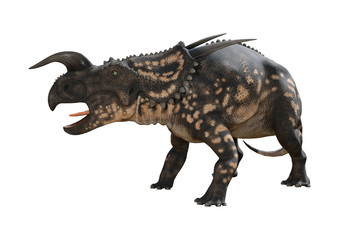 Fototapeta premium 3D Rendering Dinosaur Einiosaurus on White