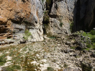 Naturaleza en Parque Nacional de Cazorla, Jaen (Andalucia, España),