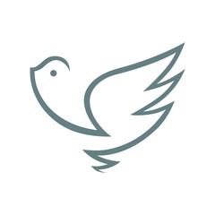 Abstract bird symbol, icon on white background. Design element