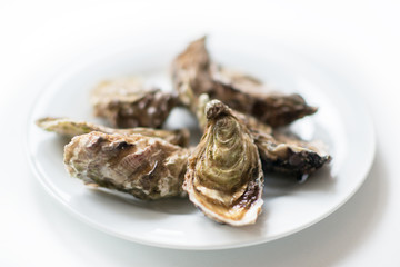 Fototapeta na wymiar Oysters. Raw fresh oysters with lemon are on white round plate, image isolated, with soft focus. Restaurant delicacy.