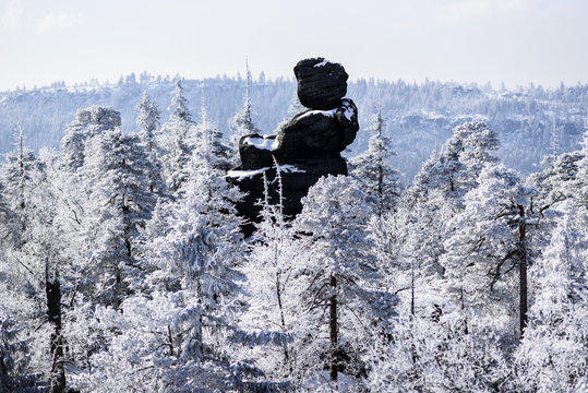Fototapeta Forest winter mountain landscape. Stolowe Mountains in Poland.
