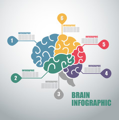 Modern infographics options banner with colorful brain and in outline style. 