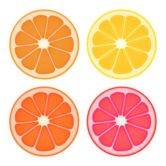 Citrus fruit slices. Four color variations. Isolated on white.