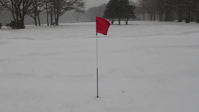 Snow covered golf course, Chorleywood Common, Hertfordshire, UK