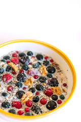 Close-up picture of bowl with cereal porridge and fruits.