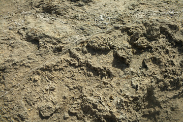 Soil textures in Desert Tabernas.