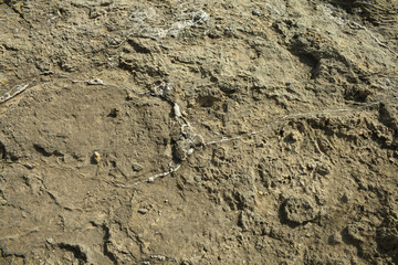 Soil textures in Desert Tabernas.