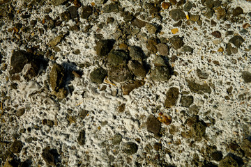 Soil textures in Desert Tabernas.