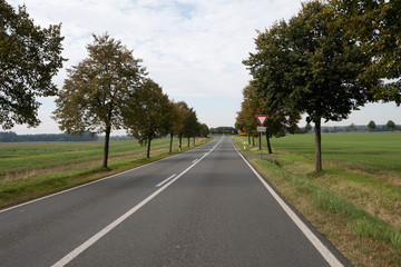 Fototapeta na wymiar German country road in autumn near Leipzig with fields to its sides and a junction approaching, hence the give way streetsign