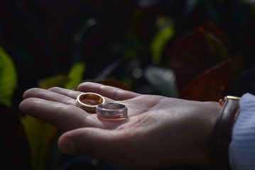 rings