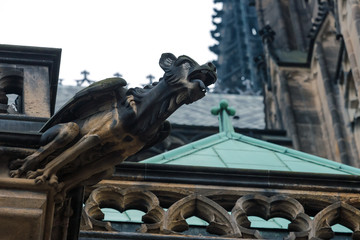 Gurgulia in Prague. Facade of the St. Vitus Cathedral. Czech Republic.