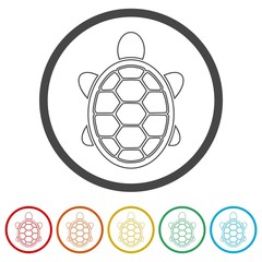 Fototapeta premium Turtle Icon Flat Graphic Design - Vector Illustration, 6 Colors Included
