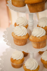 Vanilla Cupcakes with White Icing on Tiered Serving Tray