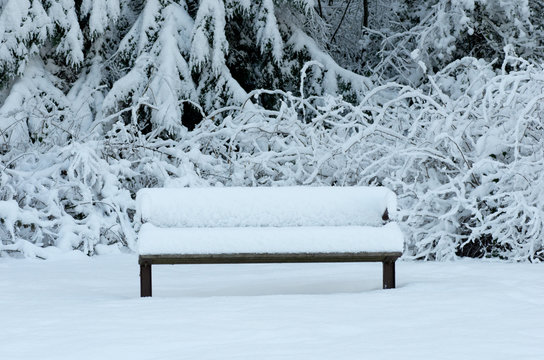 Snow-covered par bench