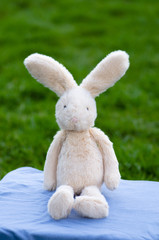 Stuffed bunny sitting on blue picnic blanket outside