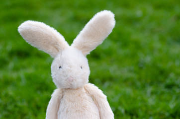 Closeup of cute stuffed bunny on green background