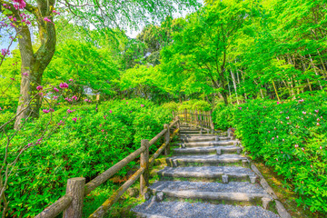 The beautiful Japanese garden around Tenryu-ji at Zen Temple in Arashiyama District, Kyoto, Japan. Spring season. Garden path of a hundred flowers or Hyakka'en.