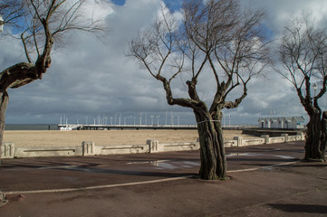 BASSIN D'ARCACHON