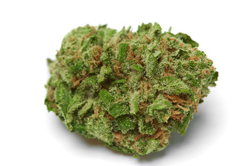 Close up of legal prescription medical marijuana sativa strain Dreamwalker isolated on a white...