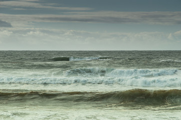 CAP FERRET